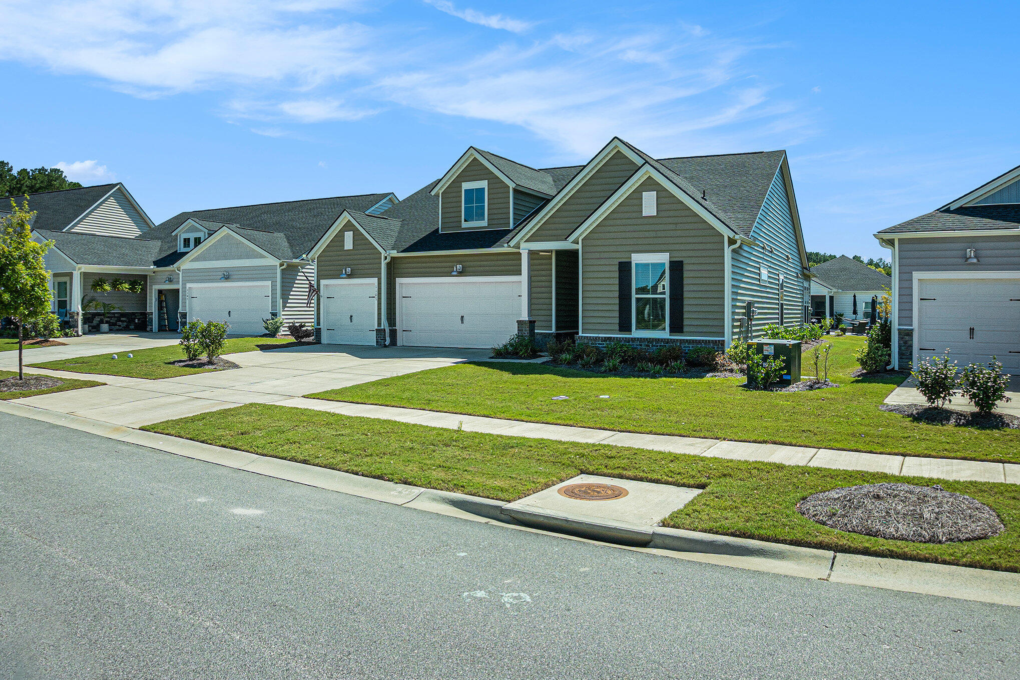 1107 Bellwether Lane Summerville, SC 29485 - Photo 3 of 40 004_fgp04086_100