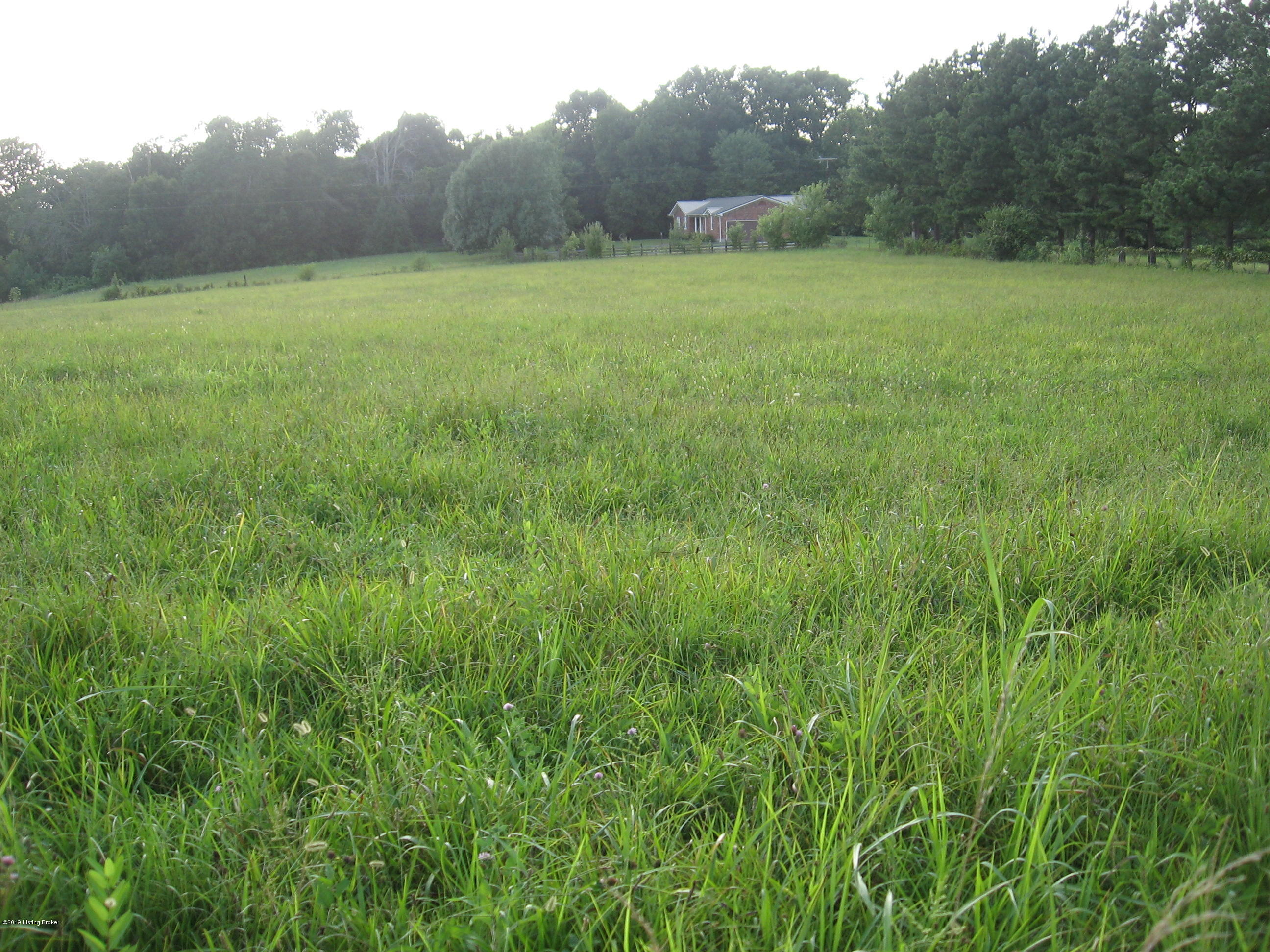 4954 Caney Creek Road Caneyville, KY 42721 - Photo 26 of 34 IMG_2018
