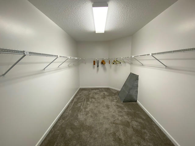 143 Norcross Road Fairfield Glade, TN 38558 - Photo 22 of 40 master closet