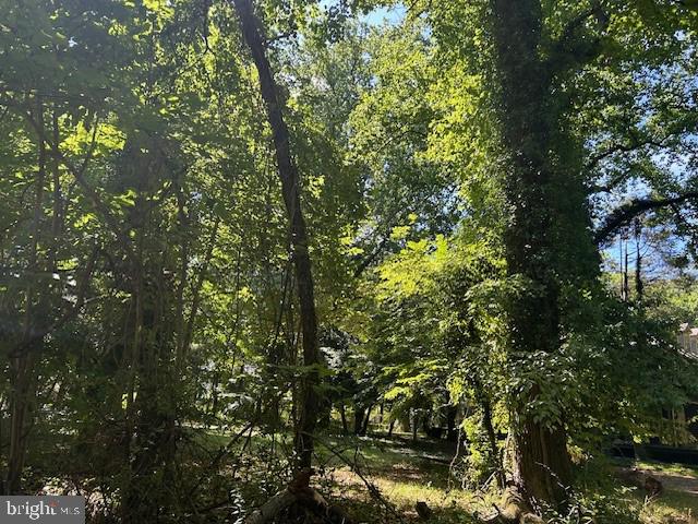 605 Upland Road Pikesville, MD 21208 - Photo 19 of 38 a view of a tree in a yard