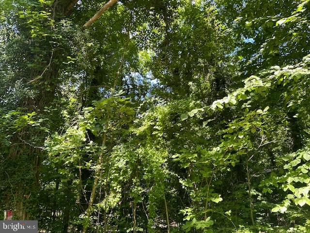 605 Upland Road Pikesville, MD 21208 - Photo 20 of 38 a view of a tree