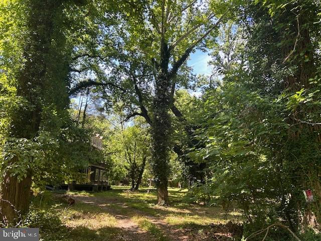 605 Upland Road Pikesville, MD 21208 - Photo 21 of 38 a backyard of a house with lots of plants and large trees