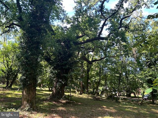 605 Upland Road Pikesville, MD 21208 - Photo 24 of 38 a tree in the middle of a yard