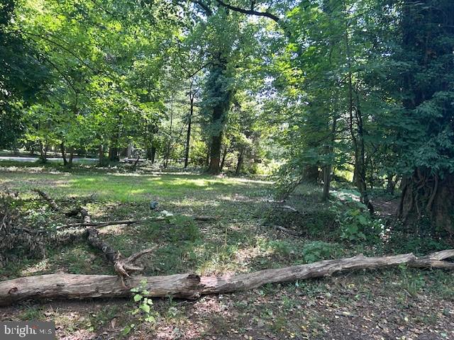 605 Upland Road Pikesville, MD 21208 - Photo 26 of 38 a big yard with lots of green space and trees