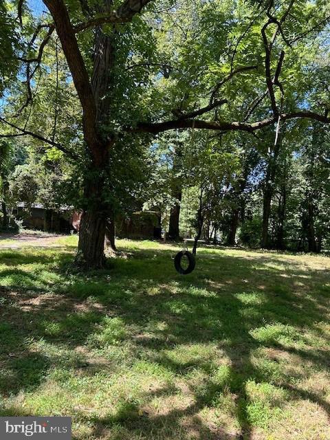 605 Upland Road Pikesville, MD 21208 - Photo 28 of 38 a view of a tree in a yard
