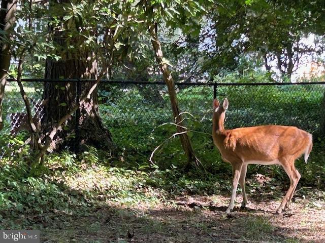 605 Upland Road Pikesville, MD 21208 - Photo 30 of 38