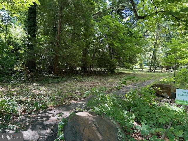 605 Upland Road Pikesville, MD 21208 - Photo 32 of 38 a big yard with lots of green space and deers