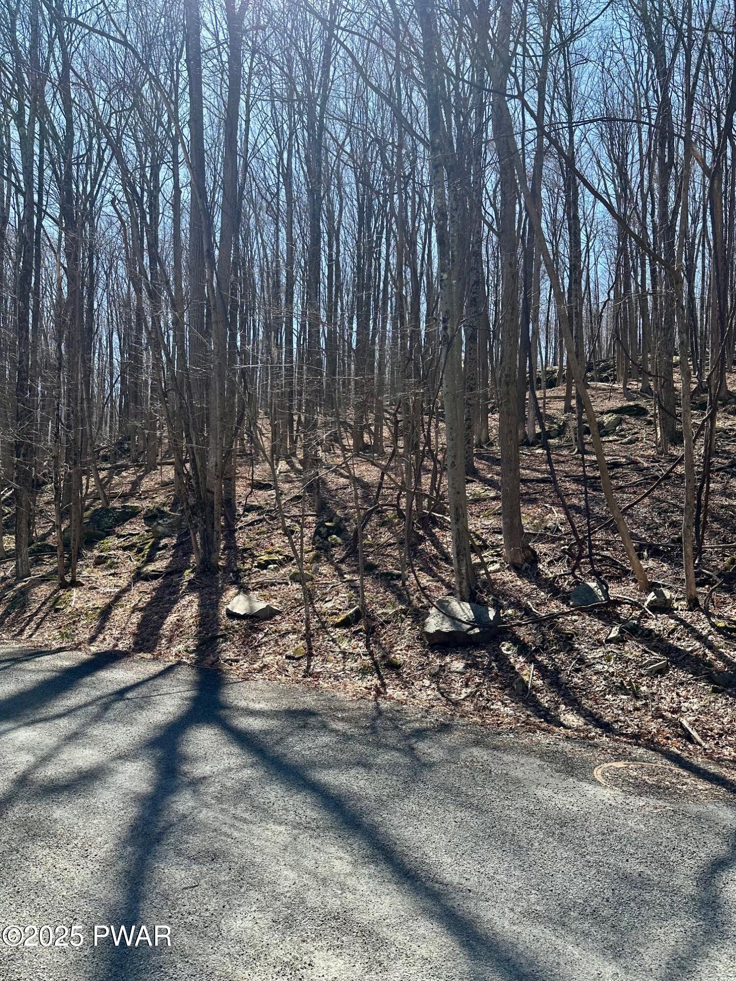 Lot 144 Sheridan Road Hawley, PA 18428 - Photo 3 of 14 Gallery Image 3