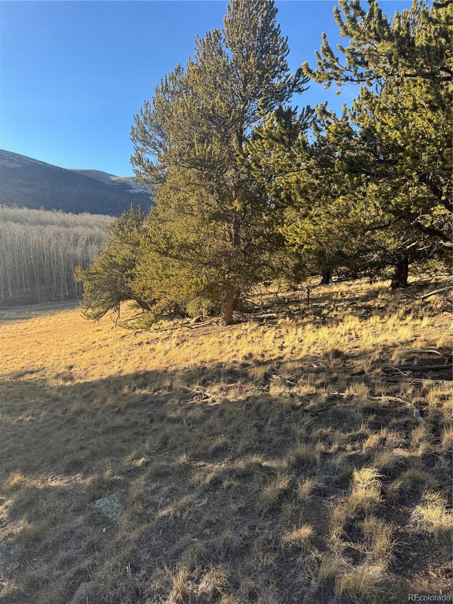 84 Pine Ridge Road Fairplay, CO 80440 - Photo 12 of 23 a view of a yard with an outdoor space