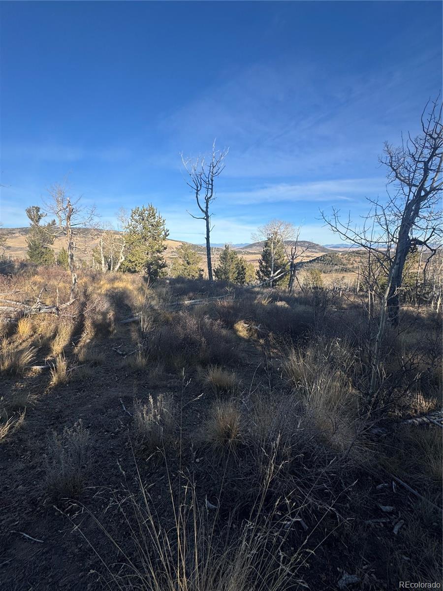 84 Pine Ridge Road Fairplay, CO 80440 - Photo 19 of 23 a view of a backyard of a house