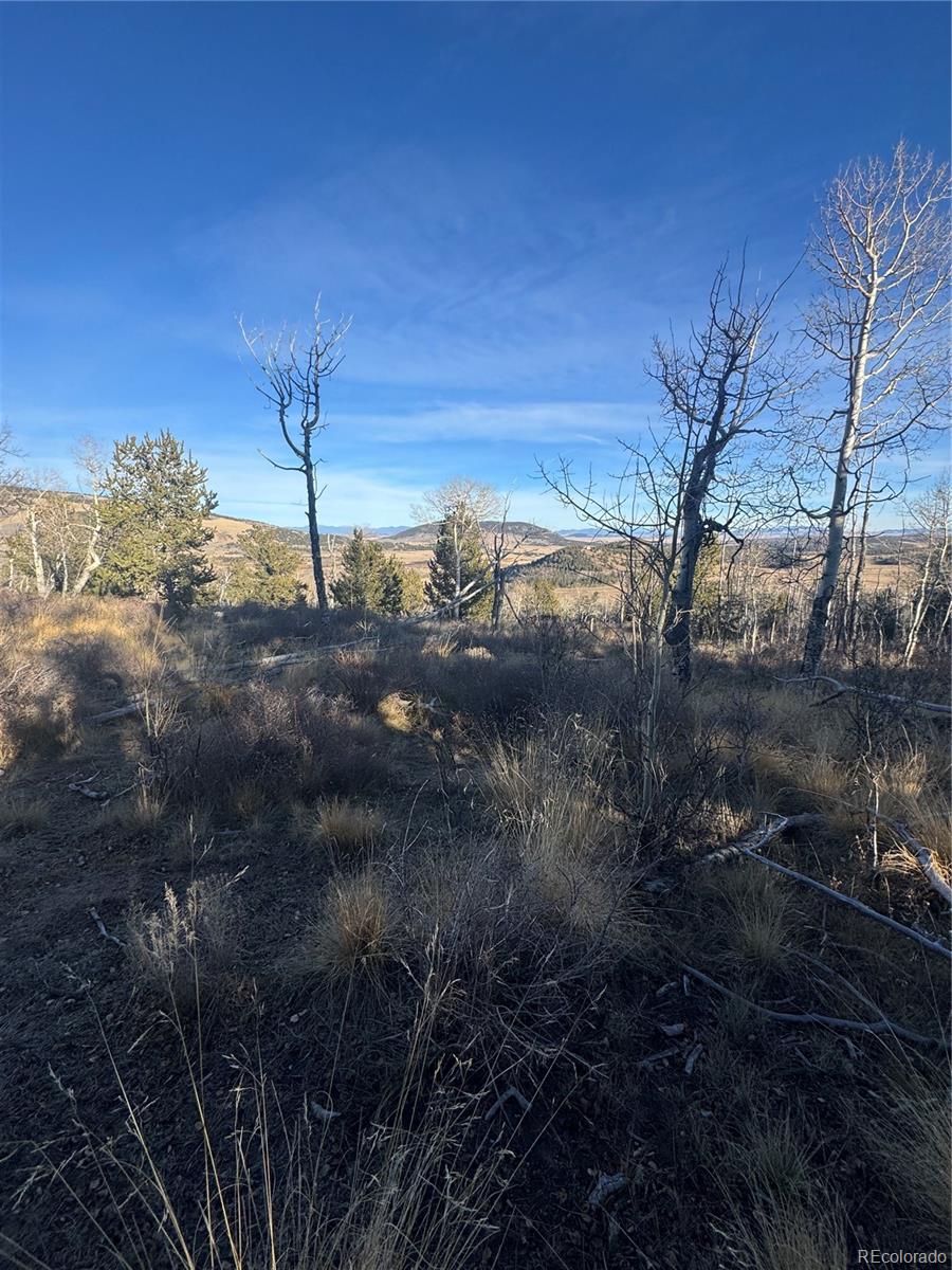 84 Pine Ridge Road Fairplay, CO 80440 - Photo 20 of 23 a view of a yard