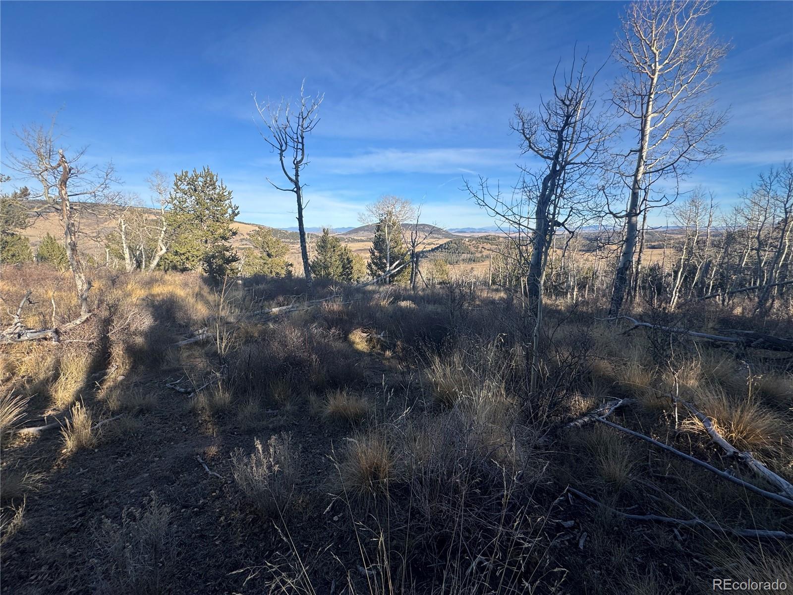 84 Pine Ridge Road Fairplay, CO 80440 - Photo 22 of 23 a view of a house with a yard