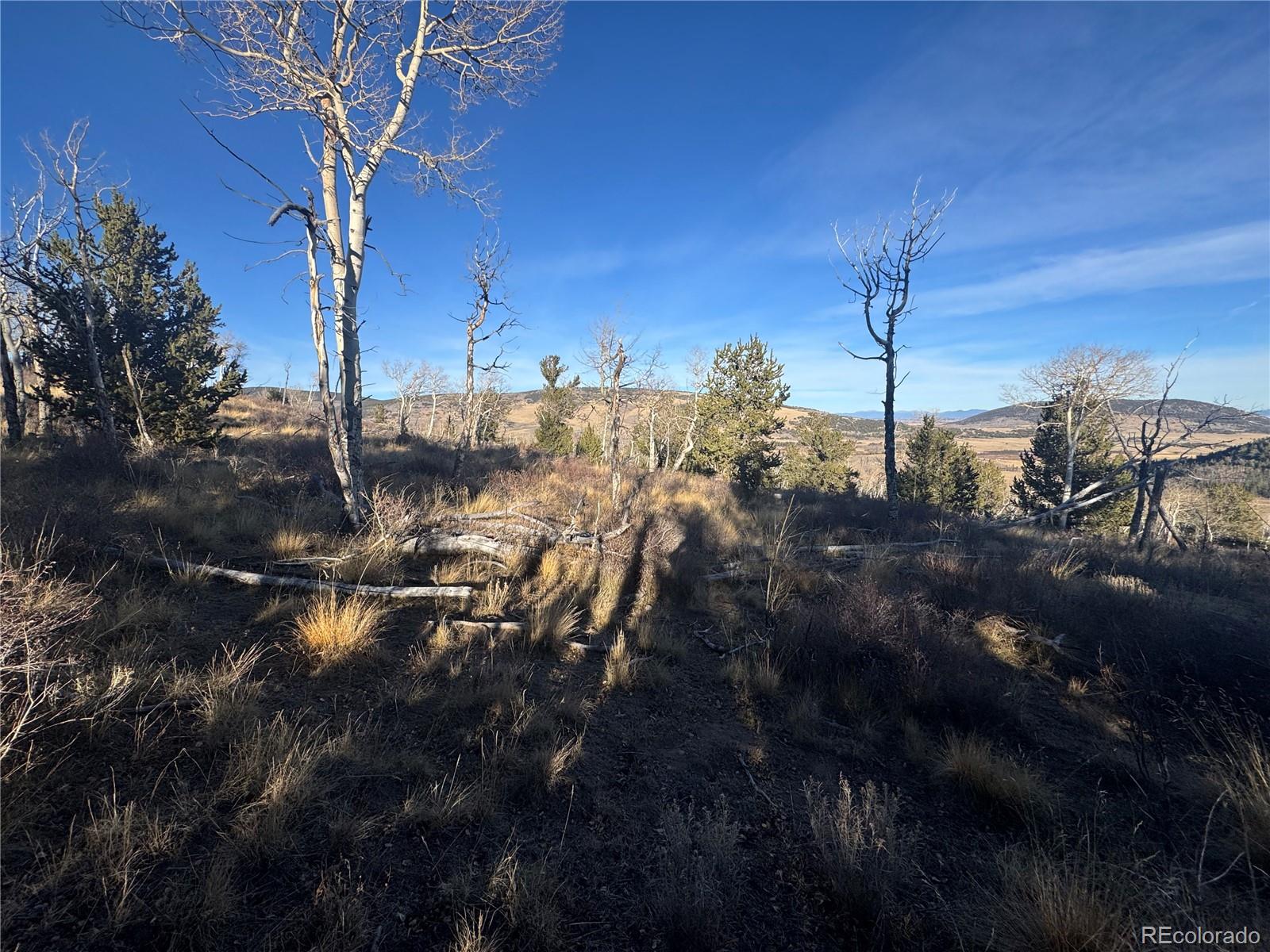 84 Pine Ridge Road Fairplay, CO 80440 - Photo 23 of 23 a view of outdoor space and yard