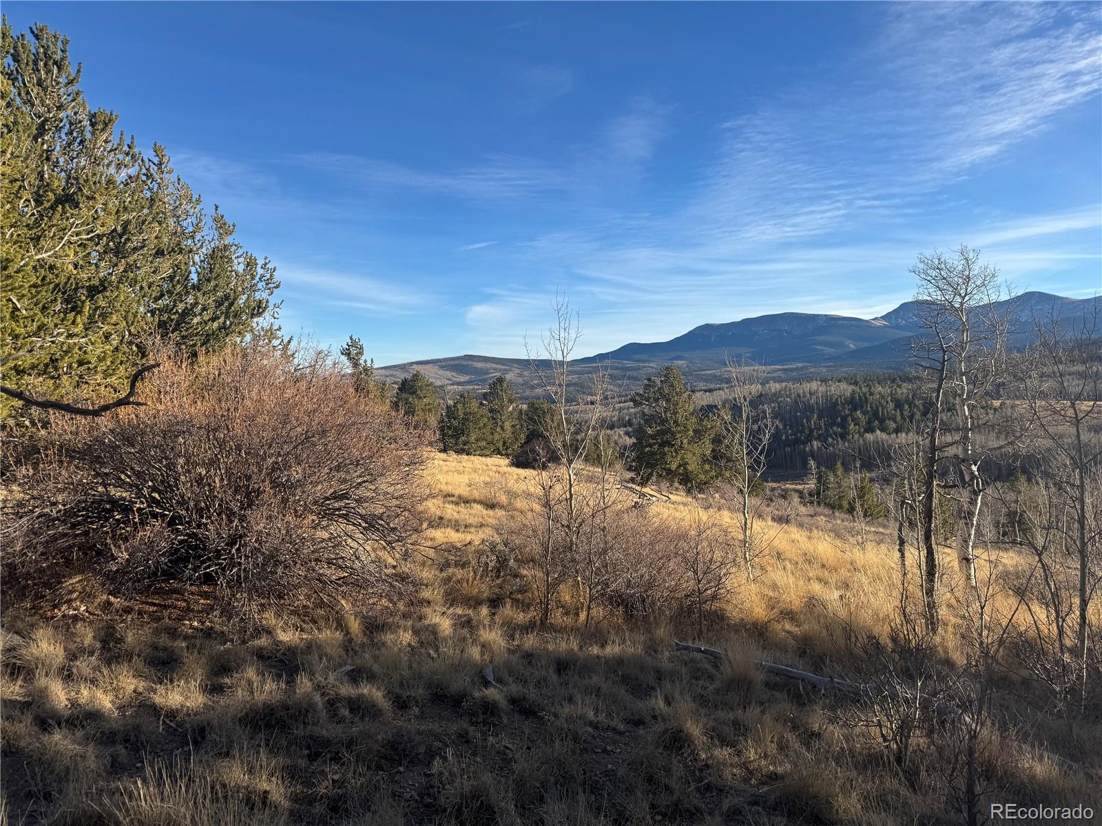84 Pine Ridge Road Fairplay, CO 80440 - Photo 4 of 23 a view of mountain view with mountains in the background