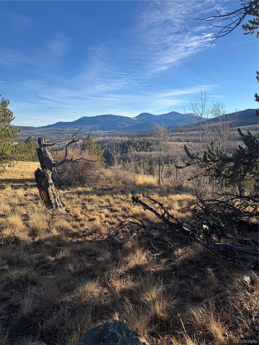 84 Pine Ridge Road Fairplay, CO 80440 - Photo 6 of 23 a view of a lake with mountain