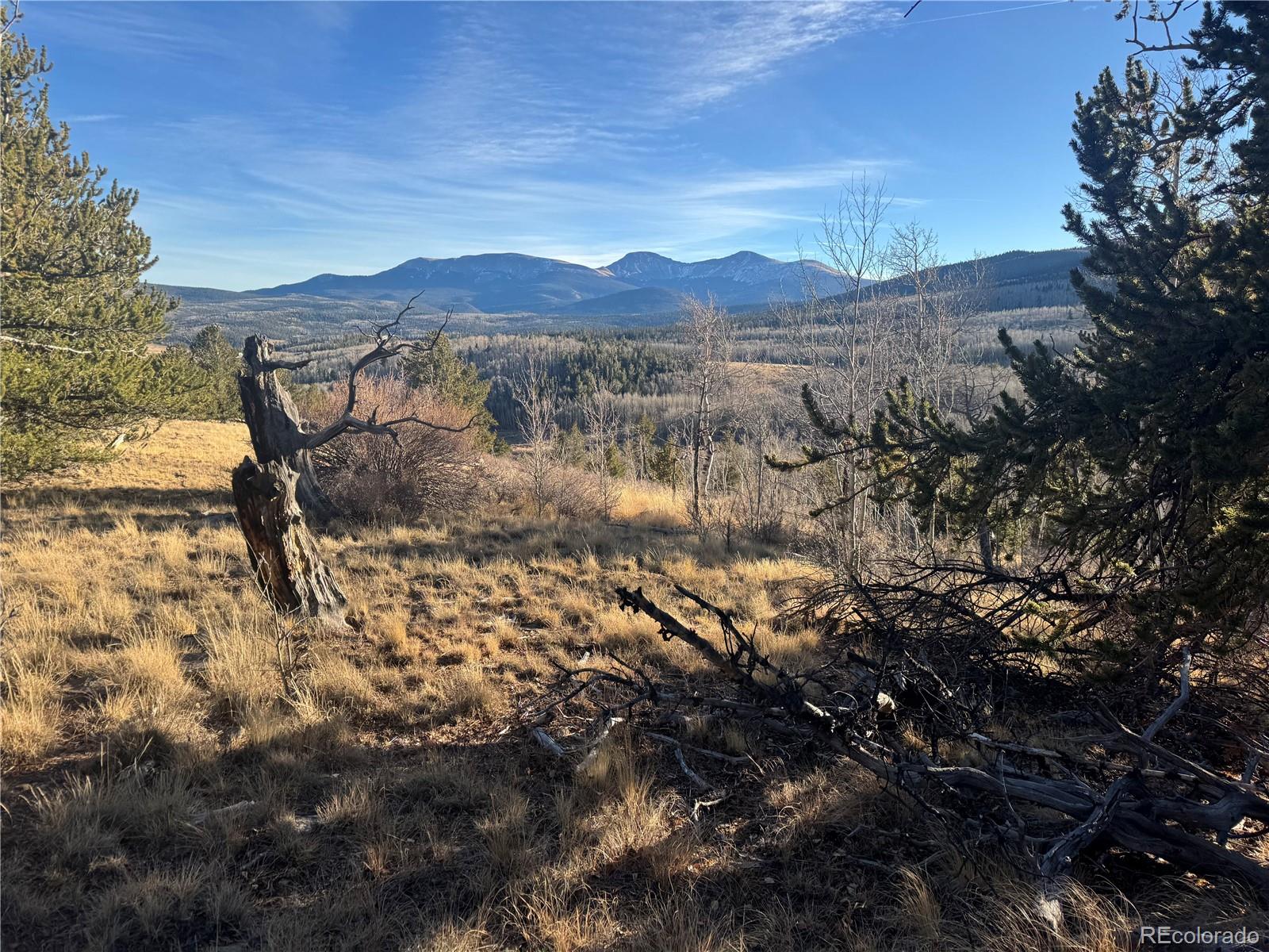 84 Pine Ridge Road Fairplay, CO 80440 - Photo 8 of 23 a view of lake with mountain