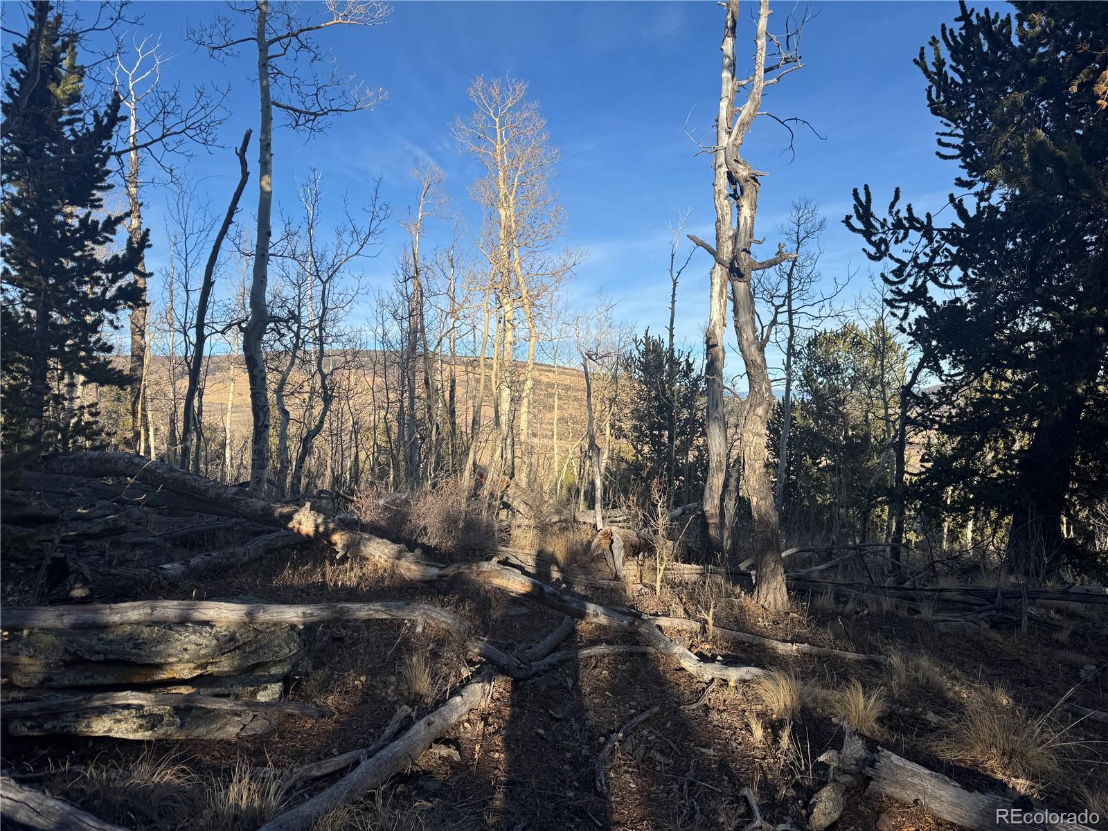 84 Pine Ridge Road Fairplay, CO 80440 - Photo 9 of 23 a view of outdoor space with green space