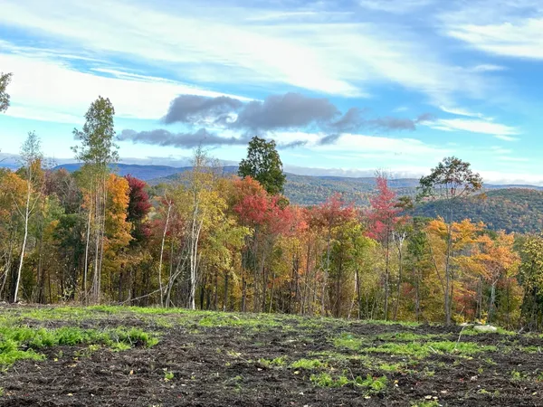 a view of a yard with palm trees