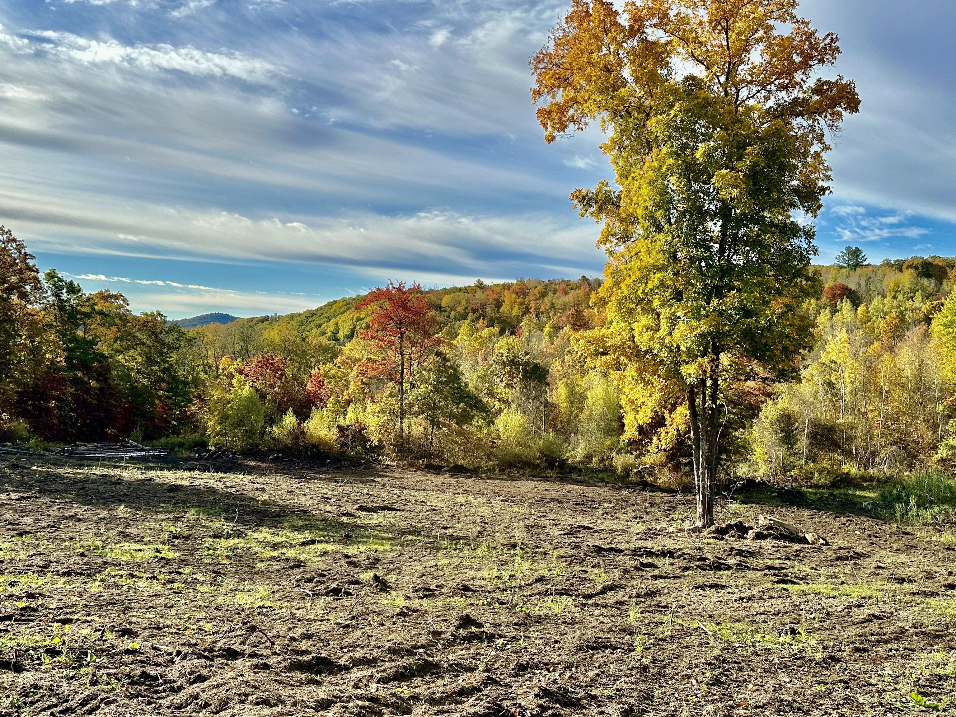 Swaller Hill Road West Cornwall, CT 06796 - Photo 12 of 12 a view of a yard with an trees