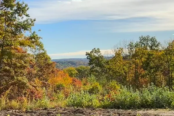a view of a yard with an trees