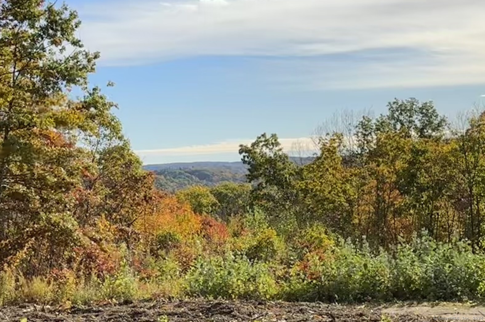 Swaller Hill Road West Cornwall, CT 06796 - Photo 4 of 12 a view of a yard
