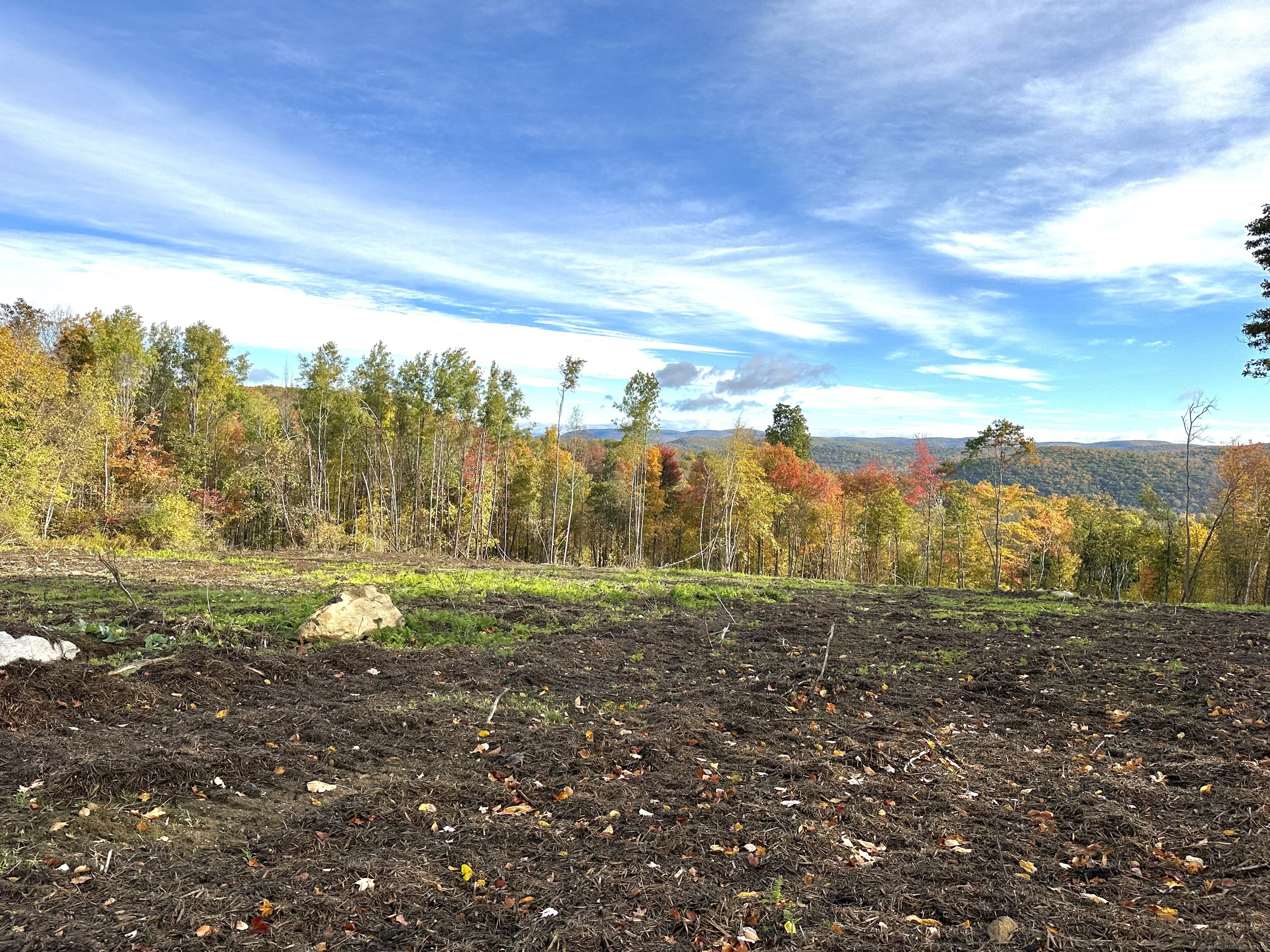 Swaller Hill Road West Cornwall, CT 06796 - Photo 5 of 12 a view of a yard with an trees