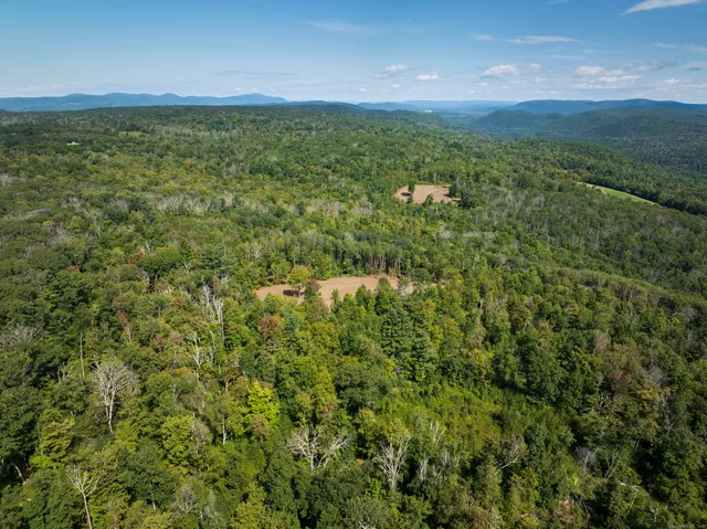 a view of a yard with an trees
