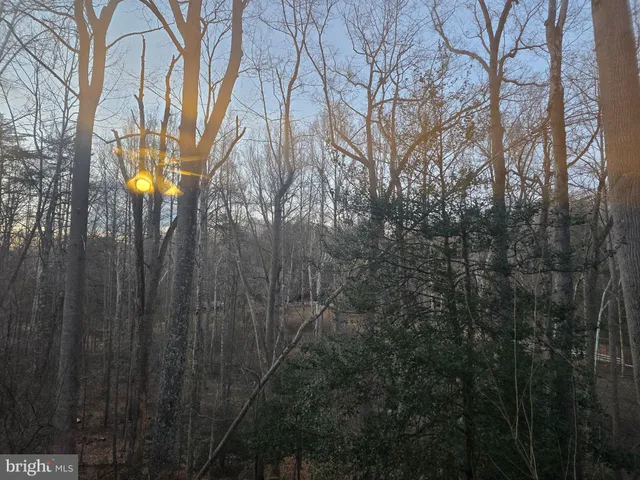 $1,650 | 12048 Winding Creek Court, Clifton, VA 20124