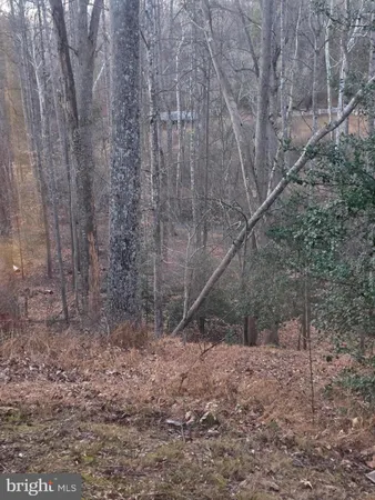 $1,650 | 12048 Winding Creek Court, Clifton, VA 20124