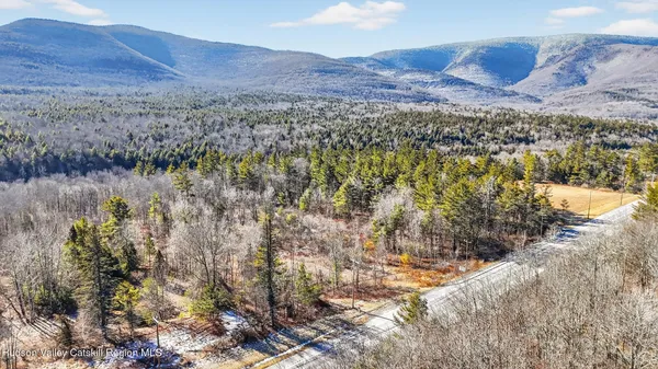 a view of a forest with mountains in the background
