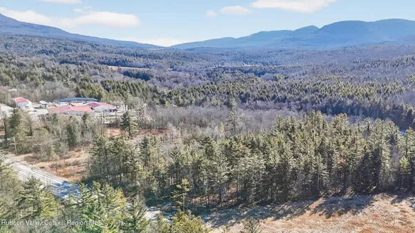 a view of a mountain in the distance