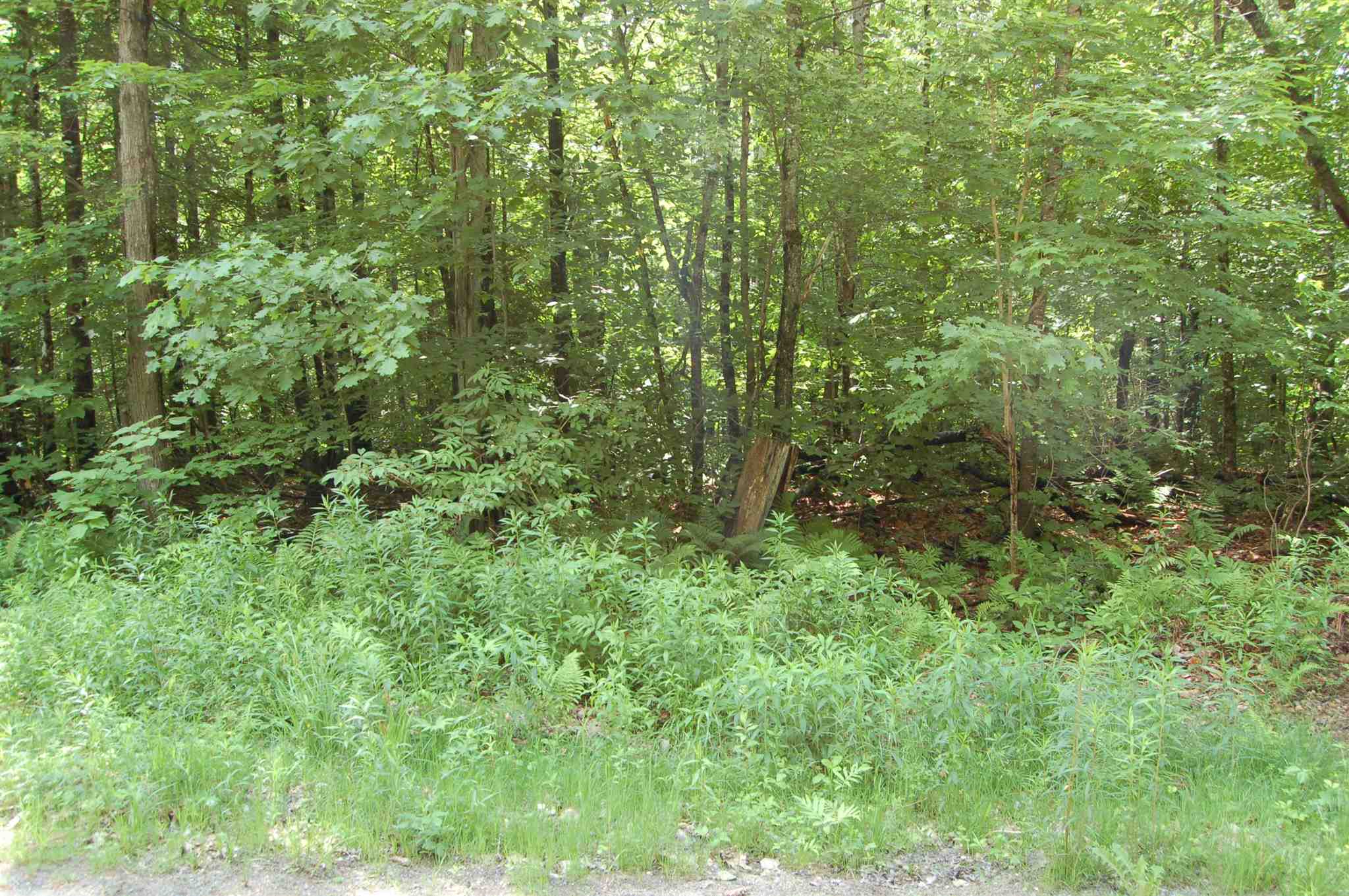 0 Stark Road Lempster, NH 03605 - Photo 2 of 3
