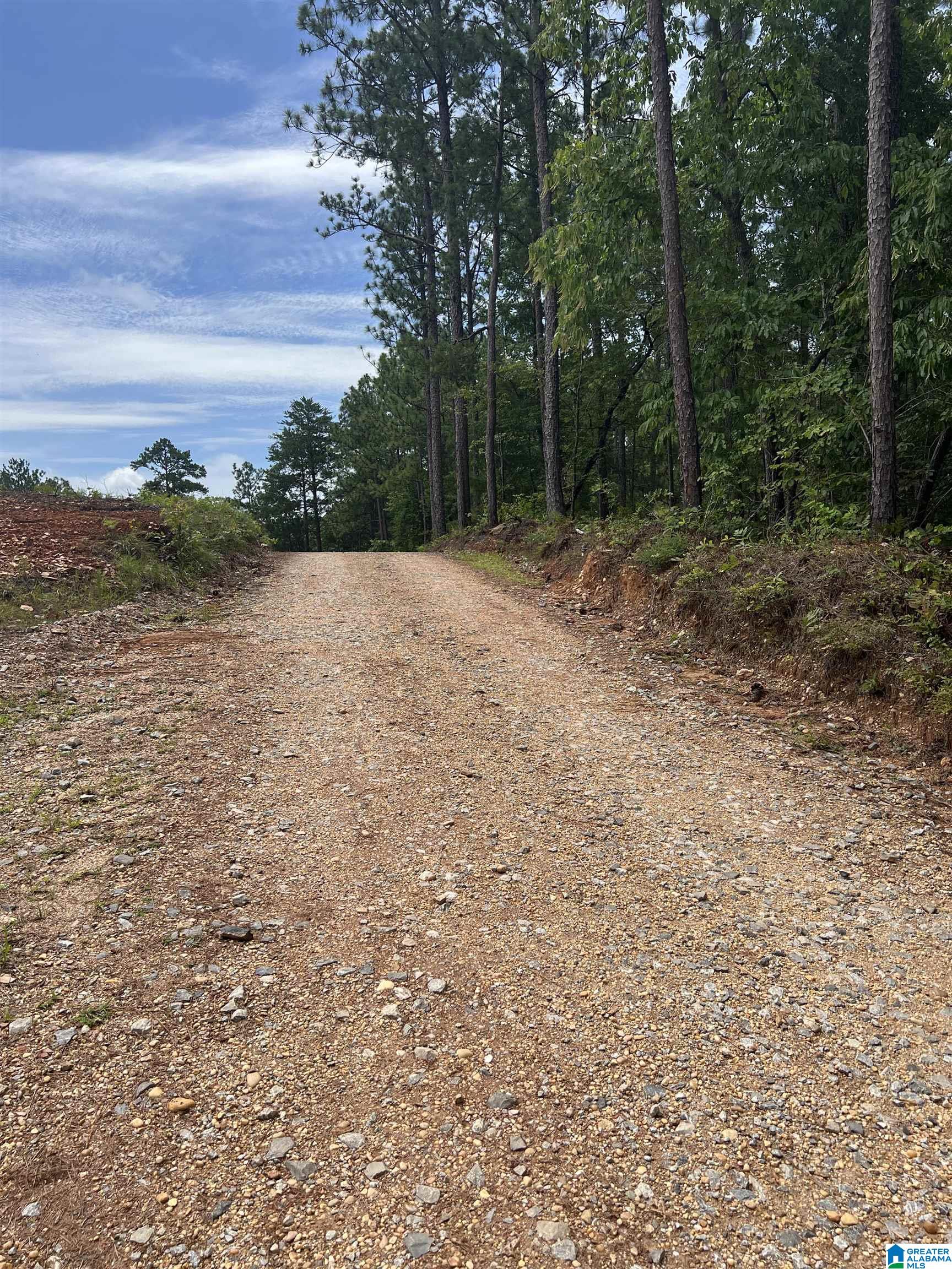 0 County Road 188 Clanton, AL 35046 - Photo 19 of 20