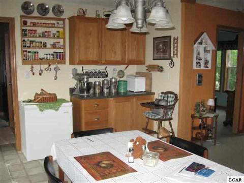 13260 Woerner Road Manitou Beach, MI 49253 - Photo 2 of 25 20356678-1.JPG