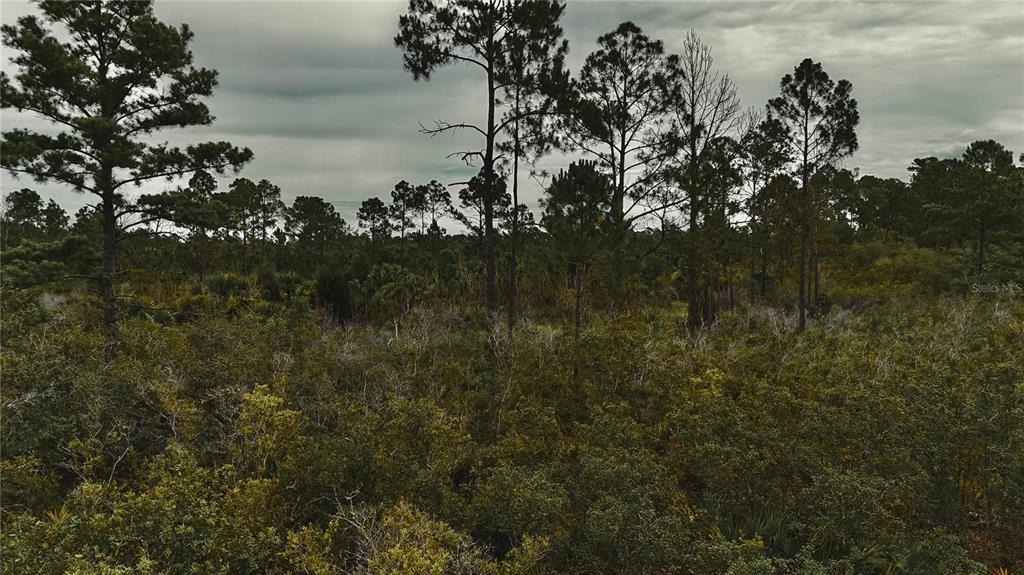 10-11 Adams Beach Road Perry, FL 32348 - Photo 26 of 38