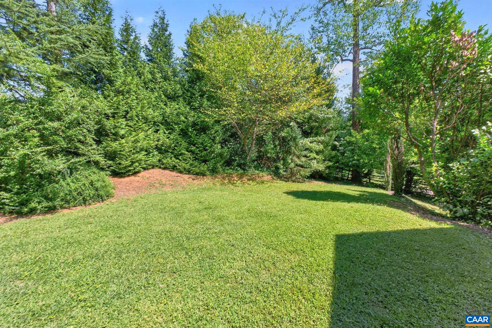 104 Buckingham Road Charlottesville, VA 22903 - Photo 45 of 52 Gallery Image 45