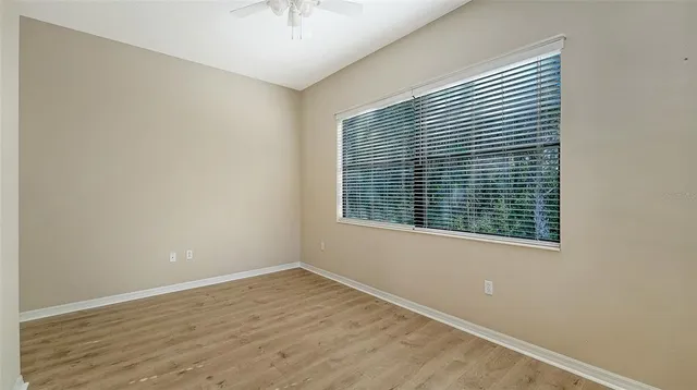 a view of a park with palm trees