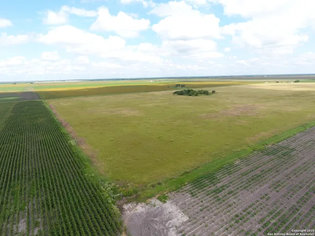 a view of an ocean and beach