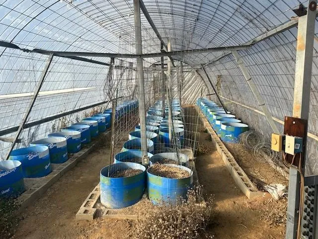 $250,000 | 26070 County 9, Bemidji, MN 56601