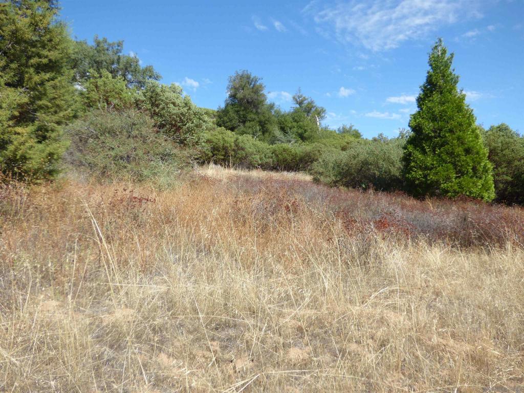 Engineers Road Julian, CA 92036 - Photo 21 of 27 a view of a lake with lots of trees