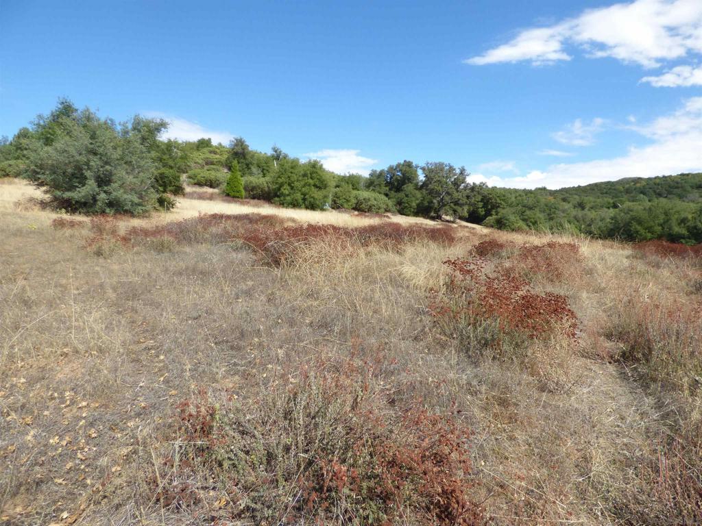 Engineers Road Julian, CA 92036 - Photo 24 of 27 a view of an outdoor space with a lake view