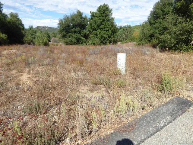 a view of a yard with a trees