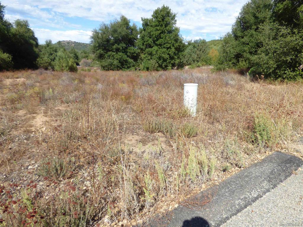 Engineers Road Julian, CA 92036 - Photo 26 of 27 a view of a yard with a trees
