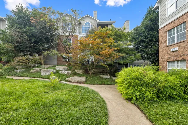 a view of a garden with plants and large trees