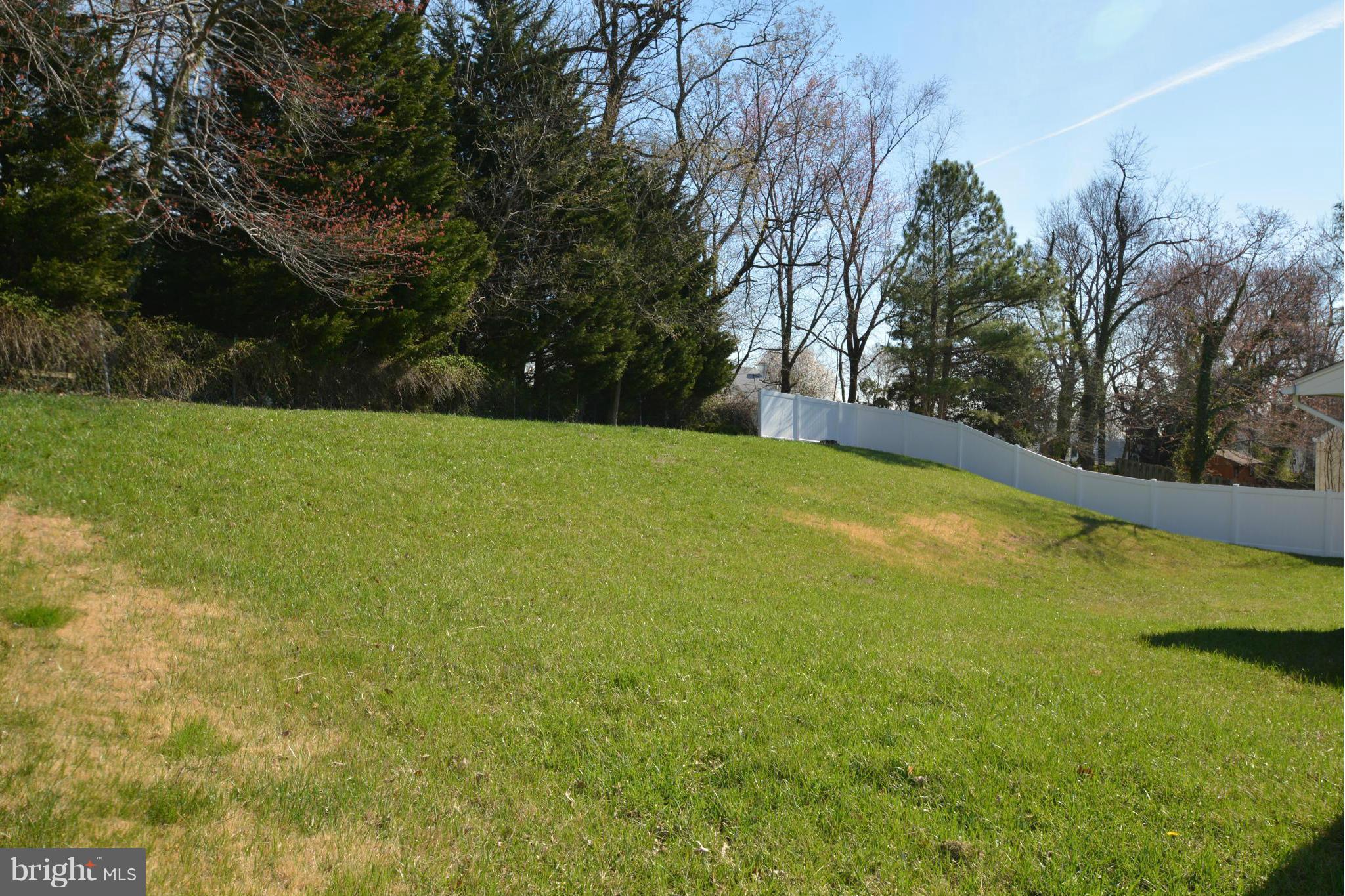 Private back yard