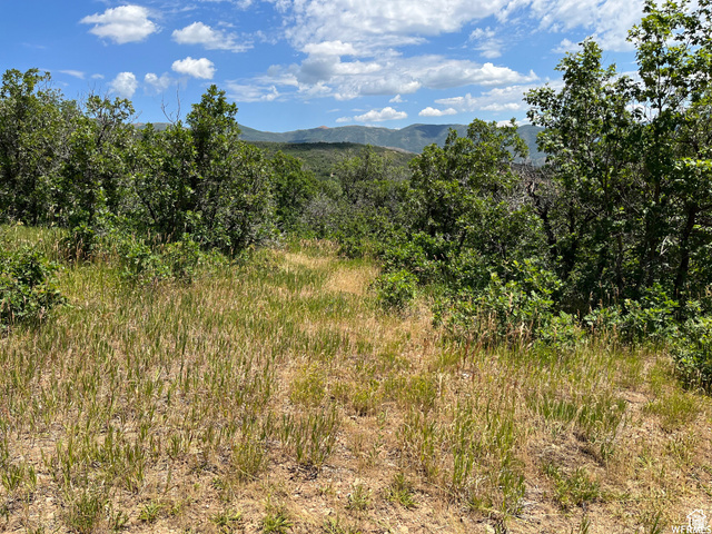 St, Unit 41 Springville, UT 84663 - Photo 7 of 12 View of mountain background featuring a forest