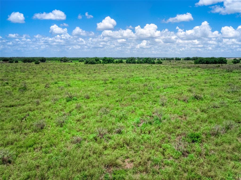 0 Stephens Road Wauchula, FL 33873 - Photo 4 of 5