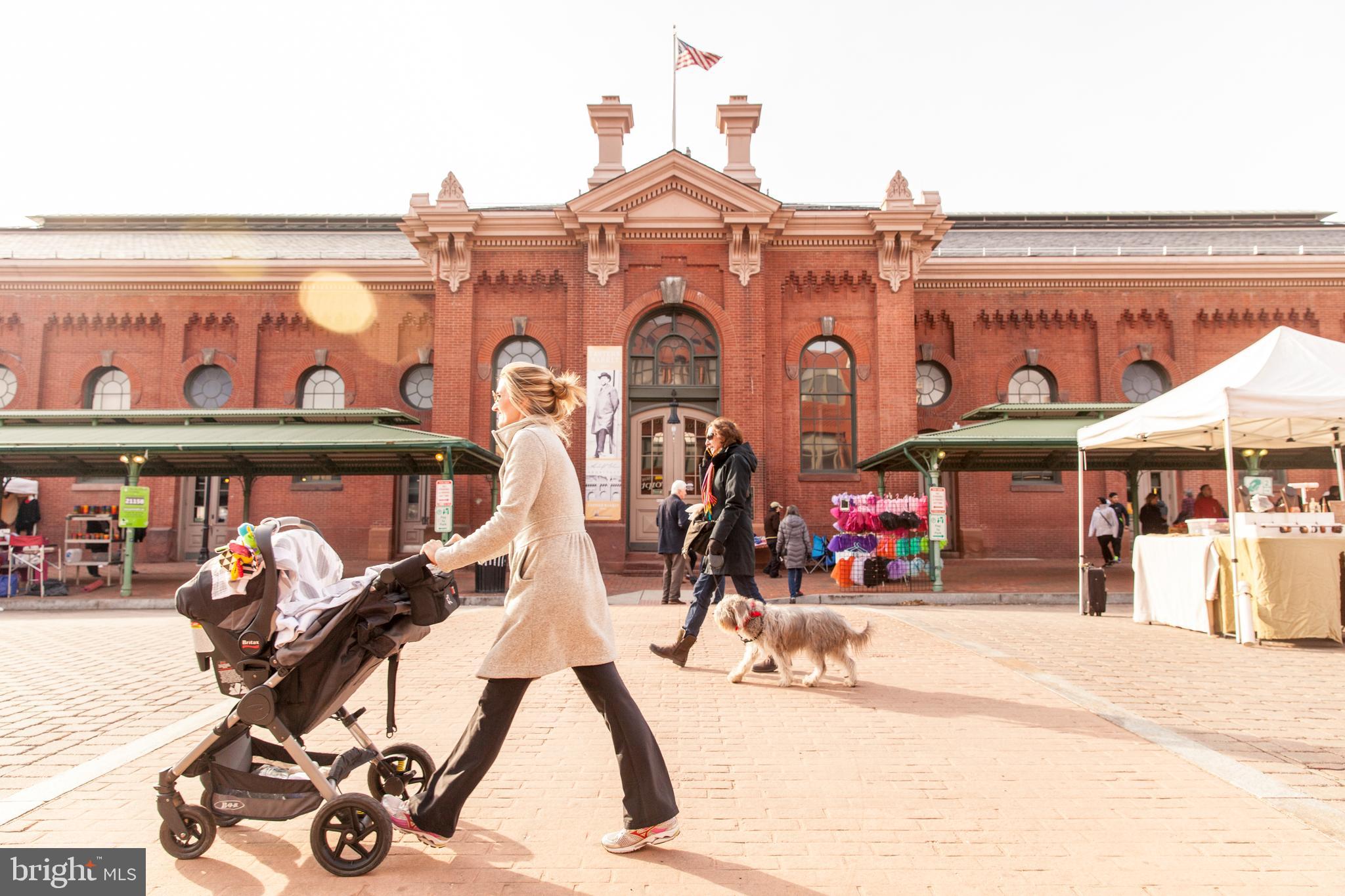 1237 Potomac Avenue Southeast Washington, DC 20003 - Photo 27 of 29
