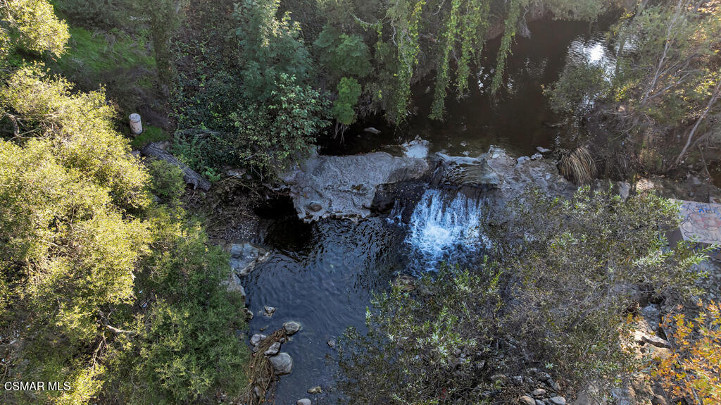 1153 Camino Dos Rios Thousand Oaks, CA 91360 - Photo 66 of 71 a view of a forest with trees