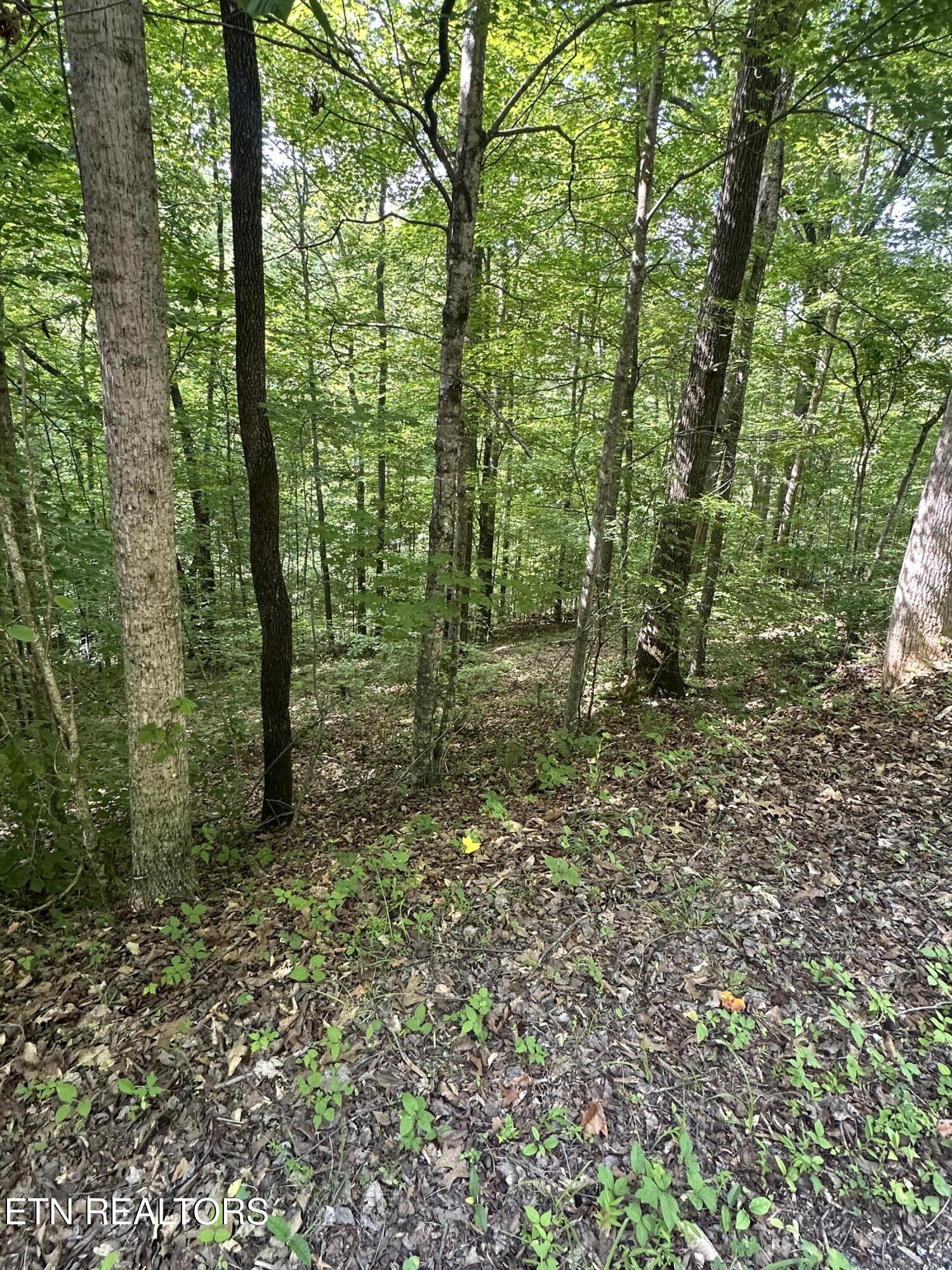 Hiwassee View Jacksboro, TN 37757 - Photo 4 of 16 jacksboro 3